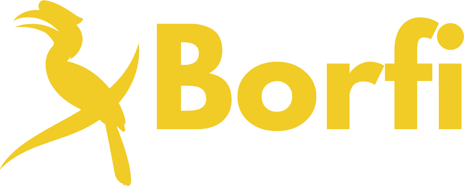 Borfi Logo